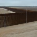 The Impact of Immigration Law Changes on Houston Politics: An Expert's Perspective